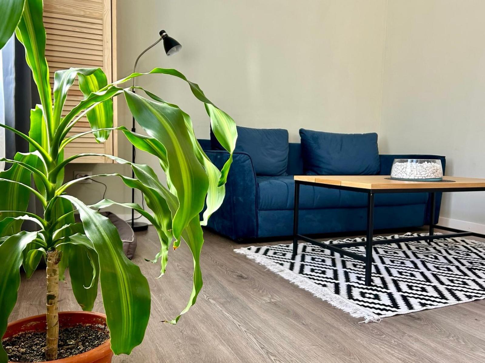 Altidude Ultra Central - Private Parking Клуж-Напока Экстерьер фото